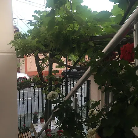Guest house La Mare Constanta